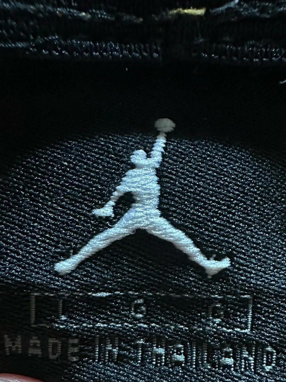 Jordan air y2k